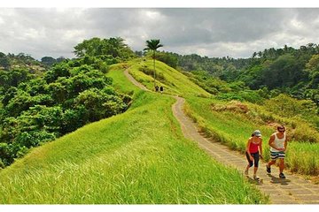 Private Tour: Campuhan Ridge Walk, Ubud Rice Terrace & Ubud Palace