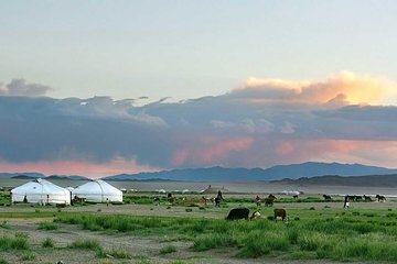 18 Day Mongolia Overall Tour