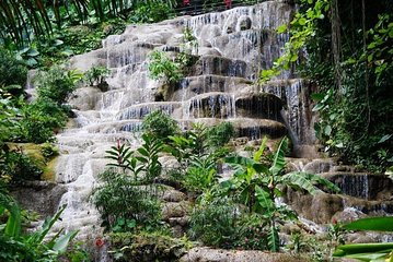 Konoko Falls and Garden Tour from Kingston