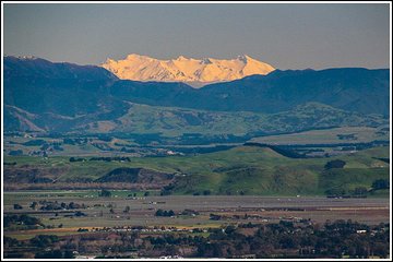 Shore Excursion: 4 Hour Premium Hawkes Bay and Napier Tour