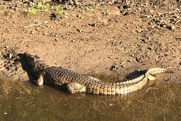 Isimangaliso Wetland Park Estuary Boat Safari