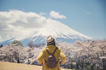 Mt Fuji Day Trip with Private English Speaking Driver from Tokyo