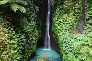 Private Tour: Leke-Leke Waterfall, Handara gate & Iconic Temples