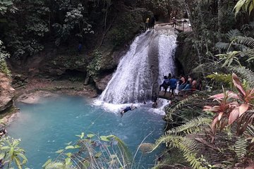 Ocho Rios Blue Hole and Dunn's River Falls Tour