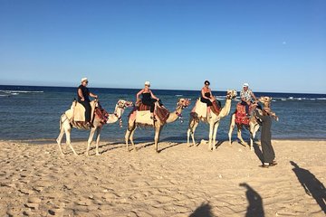 Horse & Camel Riding -Hurghada