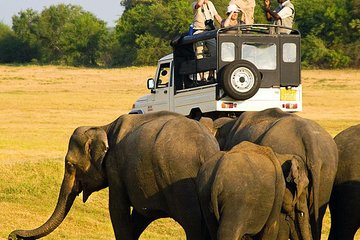 Sri Lankan Tourist Driver with great local knowledge all over the country!