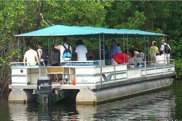 Black River Safari Tour from Montego Bay 