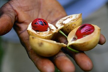 Zanzibar Spice Tour