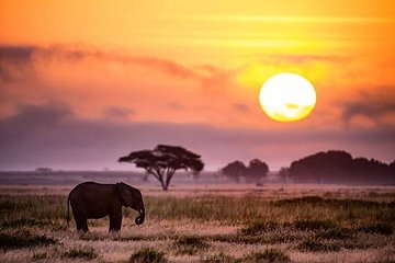 7 days lodge safaris