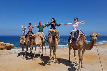 Best of Tangier: Camel Ride, Medina Walk & Breathtaking Views