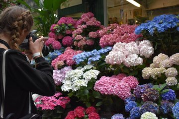 Marché Madness & Flea Markets: Full or Half day Privater Tours