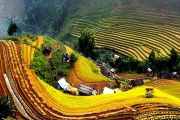 Sapa Trekking 2 Days - 1 Night, Homestay or Hotel by Sleeping Bus