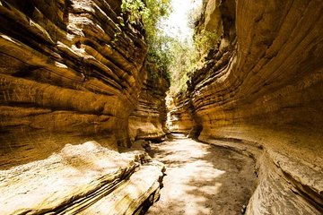 Day Trip to Lake Naivasha & Hells Gate 