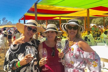 Valle de Guadalupe Gourmet Tour from San Diego, All-Inclusive