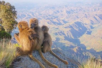 7 Days Northen Ethiopia Tour