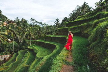 Best Day Trip in Bali