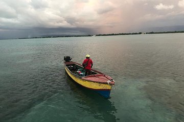 YS Falls, Black River Safari, Floyd’s Pelican Bar