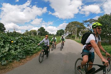 Cultural Coffee bike tour