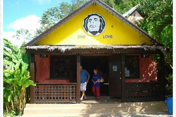 Bob Marley Nine Mile Private Tour from Montego Bay