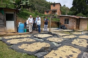 Private Coffee Tour in Colombia