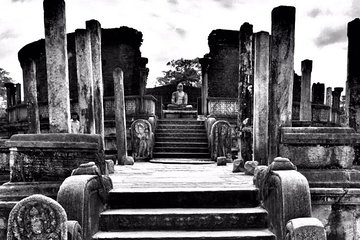 All-inclusive Polonnaruwa city tour and wild safari from Colombo