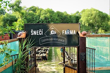 Gastrotour: snail’s farm with degustation