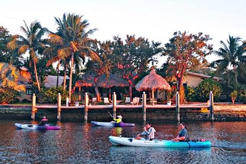 Kayak Rental: Explore Mangroves and Self-Navigated River Eco Paddle 