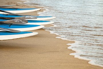 1-Hour SUP Rental in Cabo San Lucas