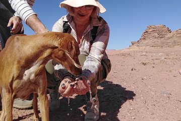 Guided walks on Wadi Rum mountaintops