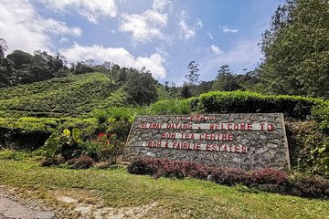Cameron Highlands Full-Day Tour