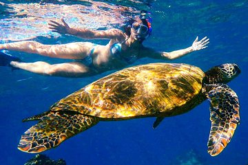 Turtle Town Clear Kayak & Snorkel Tour (11am - 1pm)