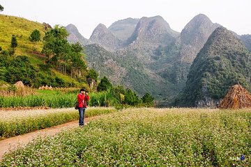 Discover Hagiang 3 Days 2 Nights From Hanoi