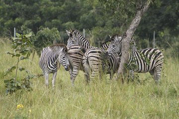 Discover Nature at Shai Hills