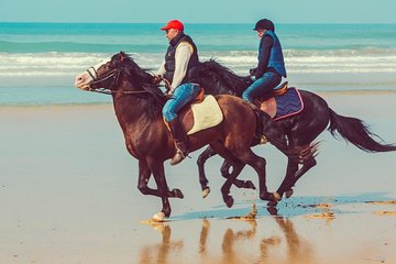 Horseback Riding: EL GHANDOURI - Tangier - 2 hours