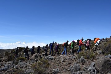 6 day Mount Kilimanjaro Trek- Marangu route