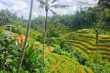 Bali Ubud Tour