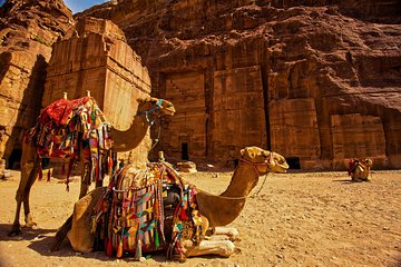 From Aqaba a Day Excursion to Petra 