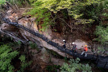 Canyon Half Day Tour