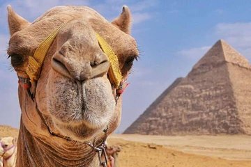 Private tour at Pyramids , Sphinx and Sound & Light Show 