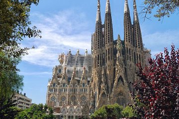 Barcelona Highlights Private Tour with Driver and Official Guide