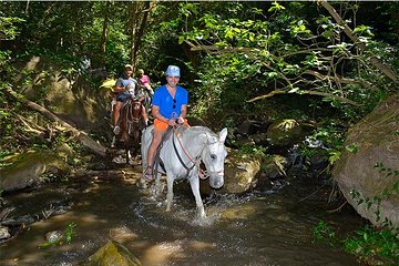 Buena Vista Private Tour with Zipline and Horseback Riding