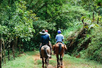 Horseback Riding and Waterfalls from Manuel Antonio