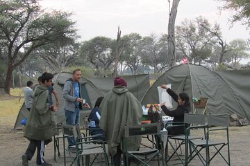 Chobe -Savuti Trail: Elephant& Big Cats ( 4 days 3 Nights)