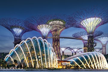 Gardens By the Bay with One Way Transfer (2 Domes)