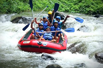 White Water Rafting - Ayung River