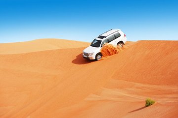 Morning Desert Safari With Sand Boarding Camel Ride & ATV Quad Bike Ride