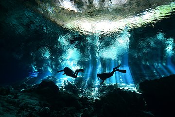 2 dives in Cenote Dos ojos Certified Divers