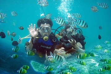 Scuba Diving - Parasailing - Banana Boat - All Inclusive with Hotel Transfer