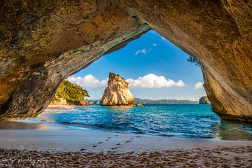 Hot Water Beach & Cathedral Cove Day Tour From Auckland