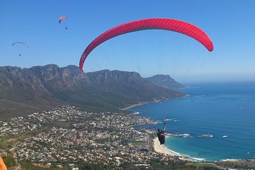 Cape Town 3-Day Attraction Tours: Paragliding, Cape Peninsula & Wine Tasting